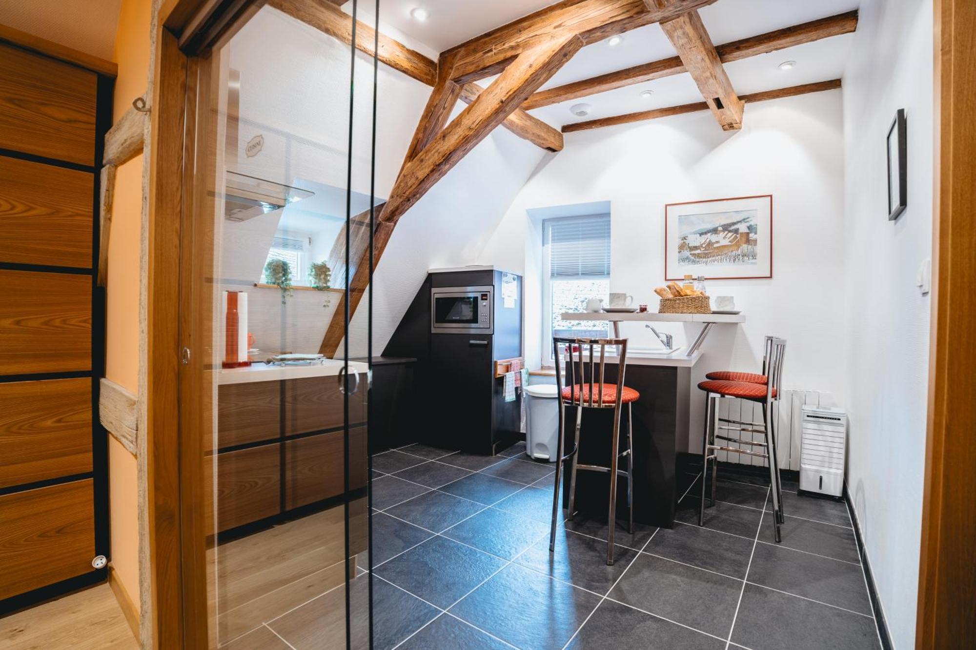 Maison Rebleuthof Sauna & Fitness Apartment Riquewihr
